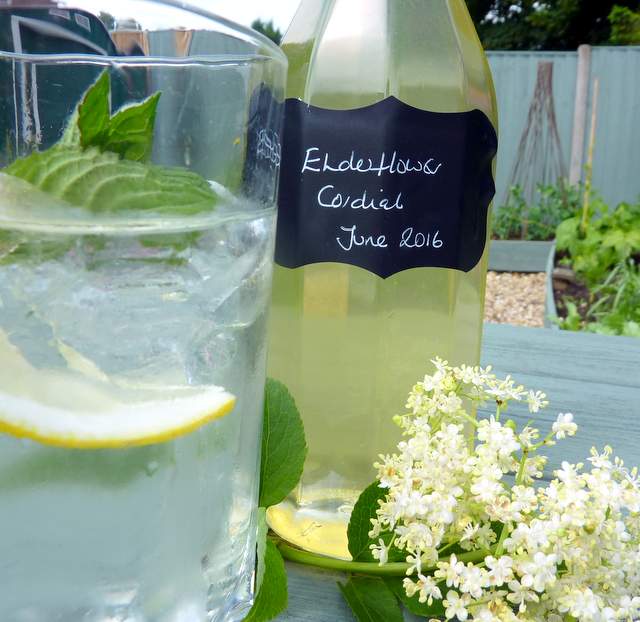 Elderflower Cordial